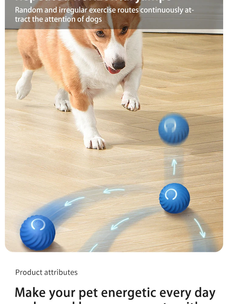 Dog Toys Intelligent Gravity Jump Ball Rechargeable Bite-Resistant Rolling Ball Cat And Dog Chase Interactive Pet Toys Boutique Gadgets