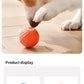 Dog Toys Intelligent Gravity Jump Ball Rechargeable Bite-Resistant Rolling Ball Cat And Dog Chase Interactive Pet Toys Boutique Gadgets