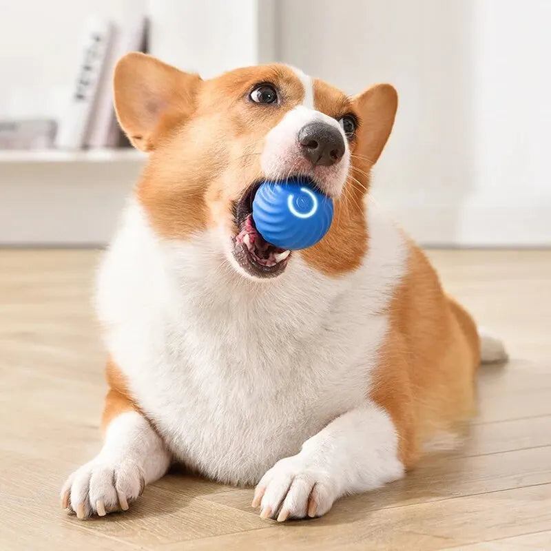 Dog Toys Intelligent Gravity Jump Ball Rechargeable Bite-Resistant Rolling Ball Cat And Dog Chase Interactive Pet Toys Boutique Gadgets