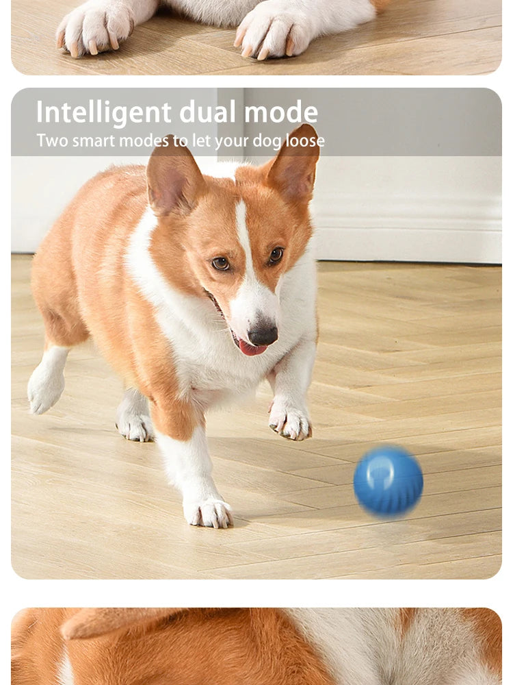 Dog Toys Intelligent Gravity Jump Ball Rechargeable Bite-Resistant Rolling Ball Cat And Dog Chase Interactive Pet Toys Boutique Gadgets