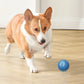 Dog Toys Intelligent Gravity Jump Ball Rechargeable Bite-Resistant Rolling Ball Cat And Dog Chase Interactive Pet Toys Boutique Gadgets