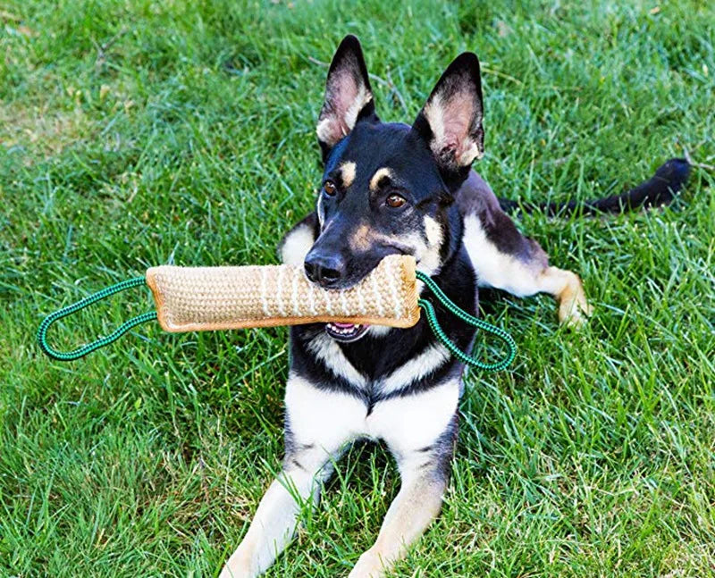 Durable Dog Training Tug Toy Dog Bite Stick Pillow Puppy Toy with Rope Handles Large Dog Training Interactive Play Chewing Toys Boutique Gadgets