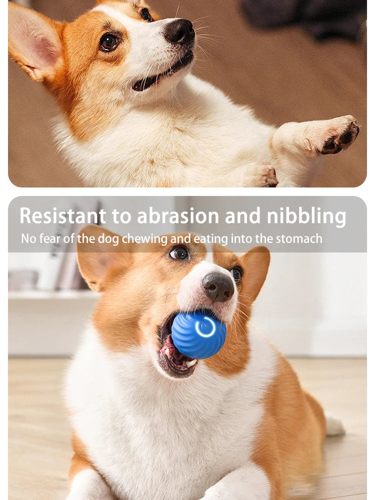 Dog Toys Intelligent Gravity Jump Ball Rechargeable Bite-Resistant Rolling Ball Cat And Dog Chase Interactive Pet Toys Boutique Gadgets