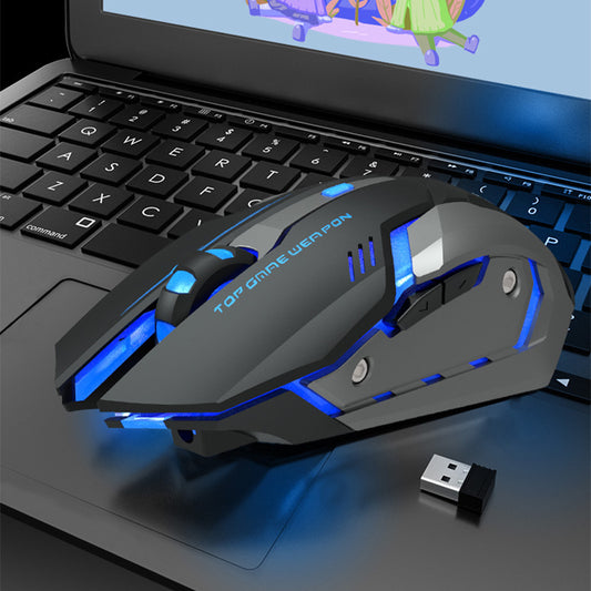 Souris Sans Fil Ergonomique T1 - Souris Gamer Haute Précision 1600dpi - Boutique Gadgets